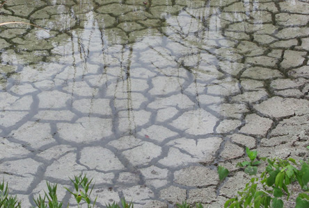 stream before flood stage